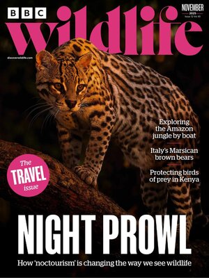 cover image of BBC Wildlife Magazine